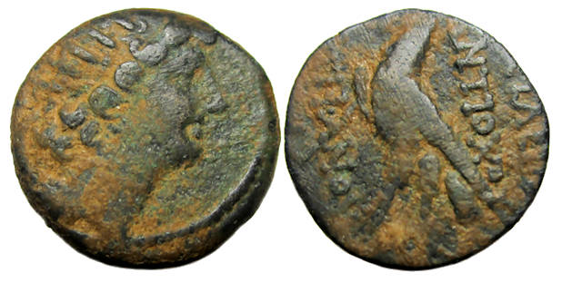 Antiochos VIII Epiphanes Ae, Seleukid Kingdom : Eagle